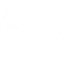 הסיפור שלנו - ואדי עתיר